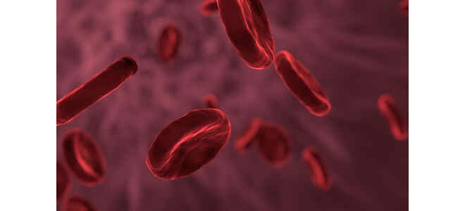 blood
