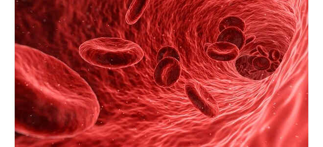 blood