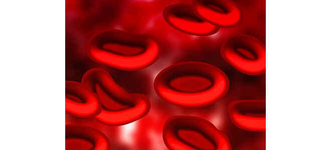 blood