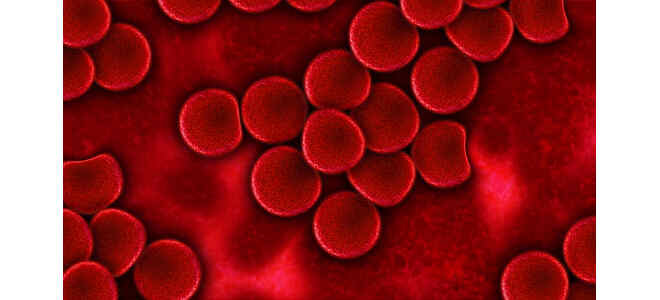 blood