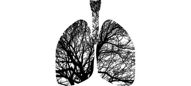 lung