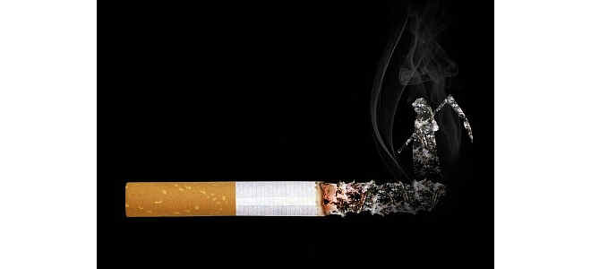 lung