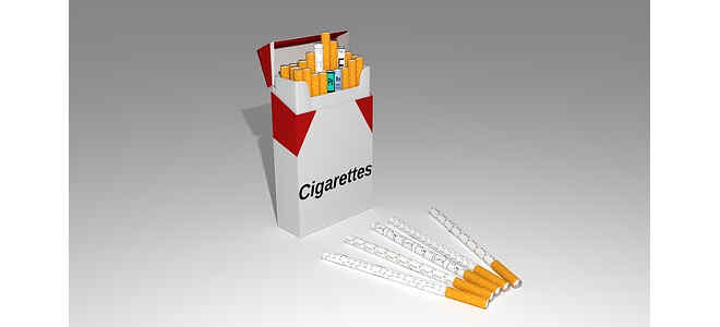lung