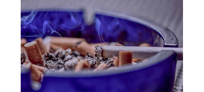 lung