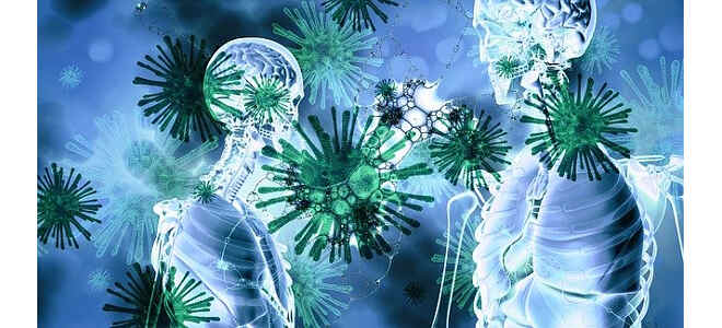 bronchial