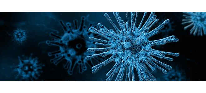virus