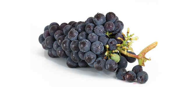 red-wine-